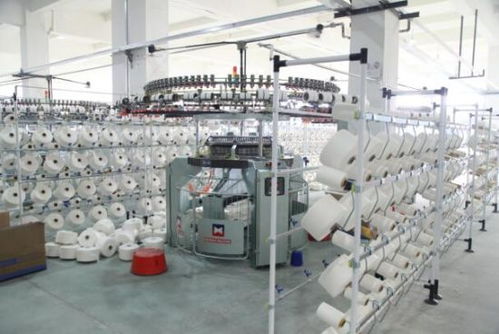 援疆暖民心 臺州助力新疆兵團(tuán)第一師阿拉爾市民生發(fā)展技術(shù)開發(fā)紀(jì)實(shí)